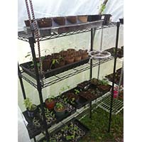 溫室大棚園藝栽培架_園林植物培育架_可調(diào)節(jié)層距樹(shù)苗花架（2）
