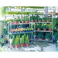 花草植物種植儲物架，立體種植貨架，園藝盆栽置物架（2）