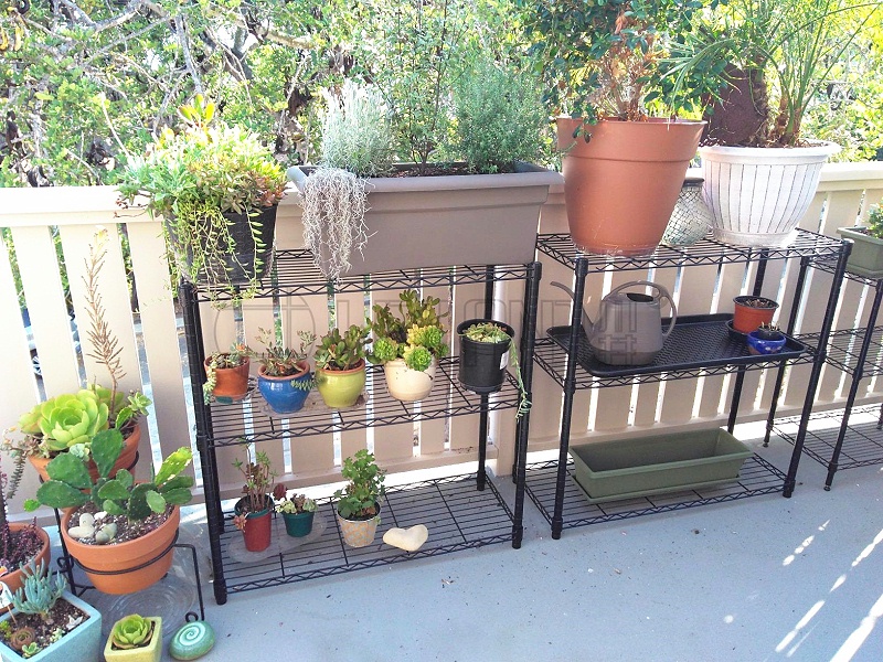 陽(yáng)臺(tái)露臺(tái)花架 植物種植架案例分享-川井